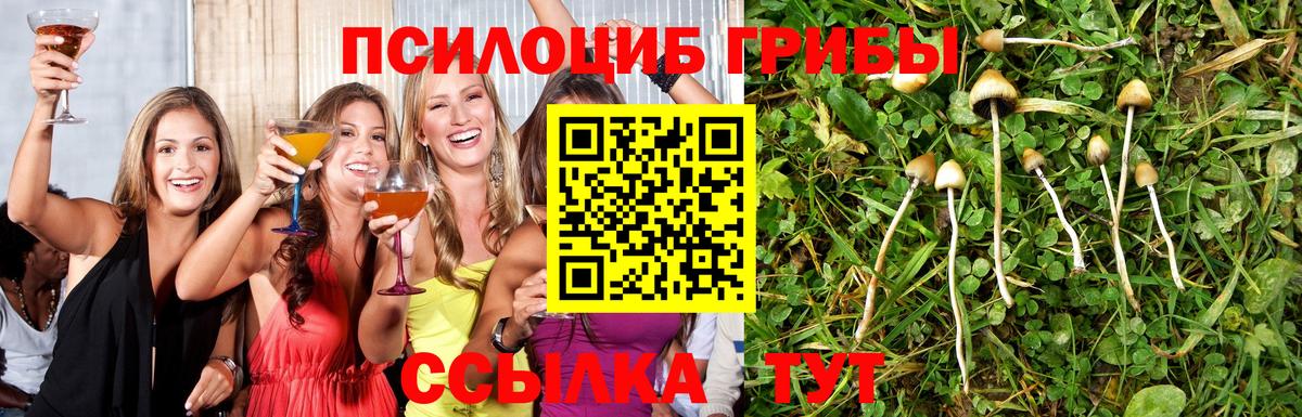Псилоцибиновые грибы мицелий Семёнов