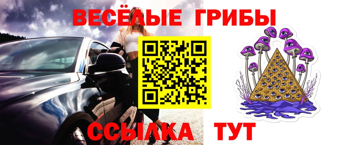 Псилоцибиновые грибы Cubensis  Вход с VPN  Семёнов 